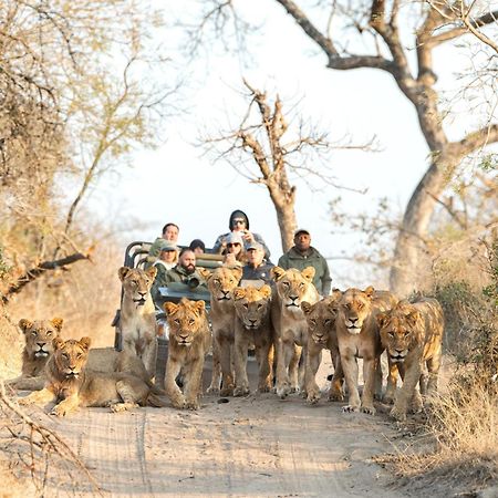 Villa Royal Malewane Wildreservat Thornybush Exterior foto