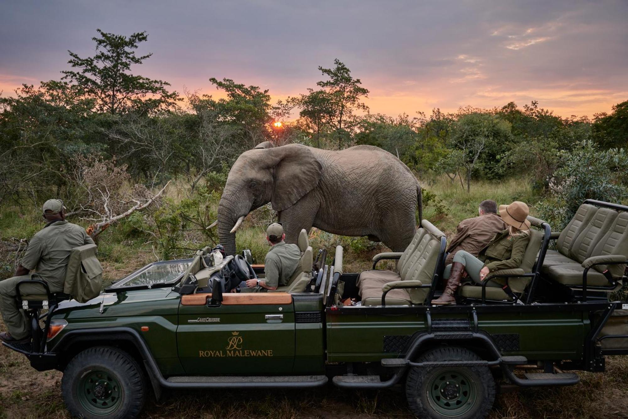 Villa Royal Malewane Wildreservat Thornybush Exterior foto