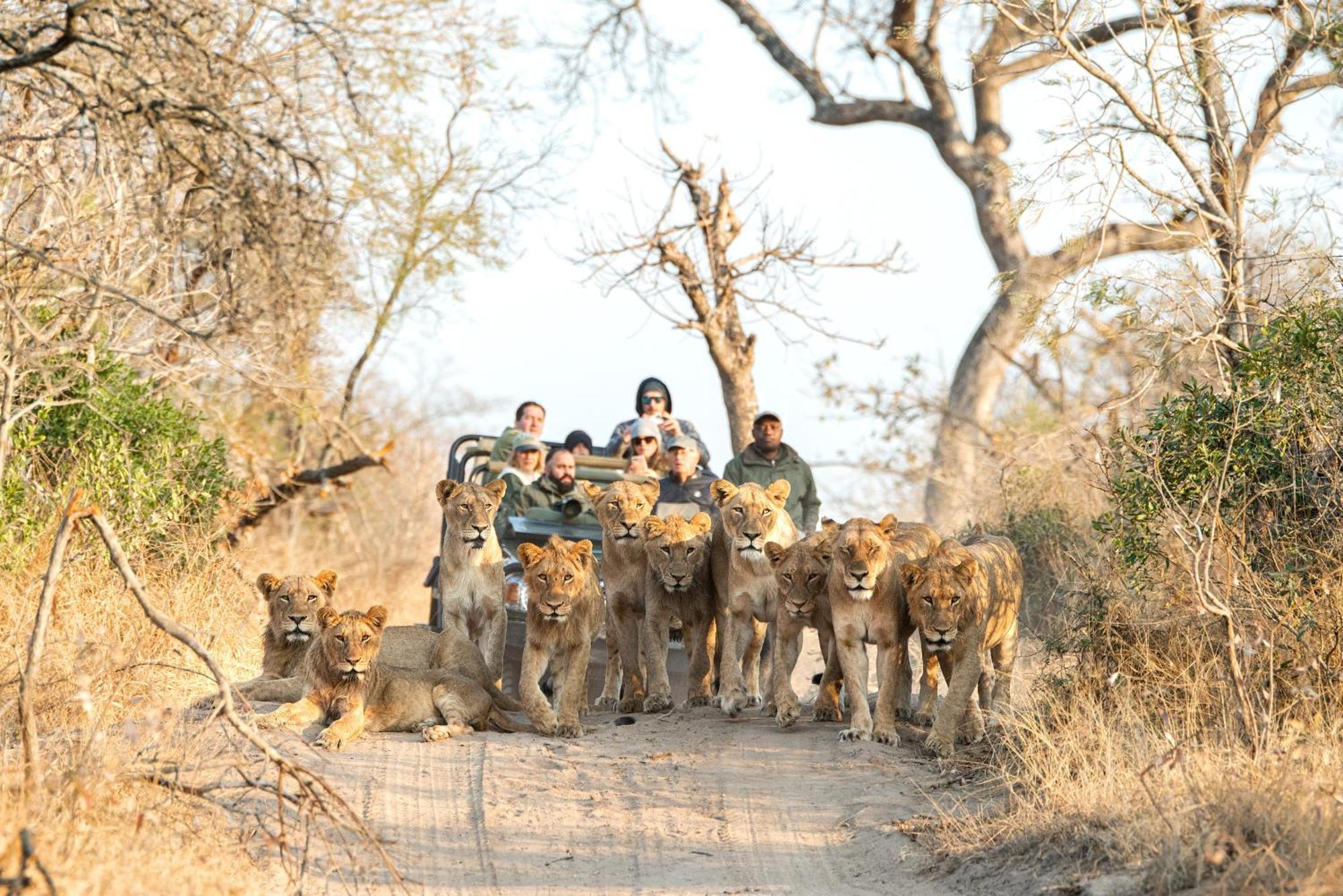 Villa Royal Malewane Wildreservat Thornybush Exterior foto