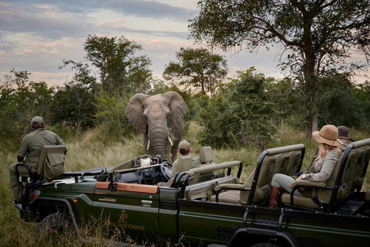 Villa Royal Malewane Wildreservat Thornybush Exterior foto